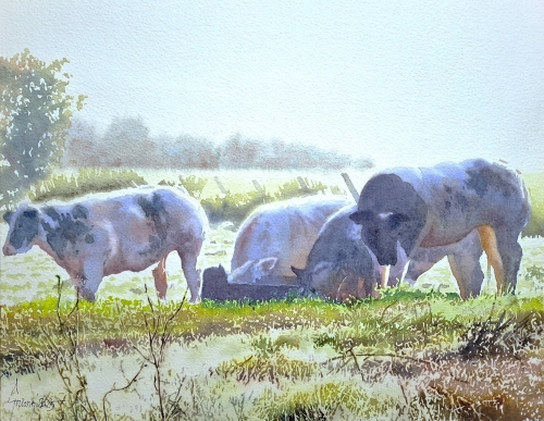 Koeien langs de Beekmeersstraat (1)