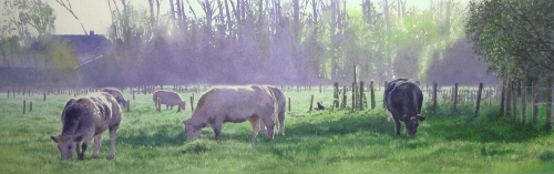 Koeien langs de Leie te Vosselare