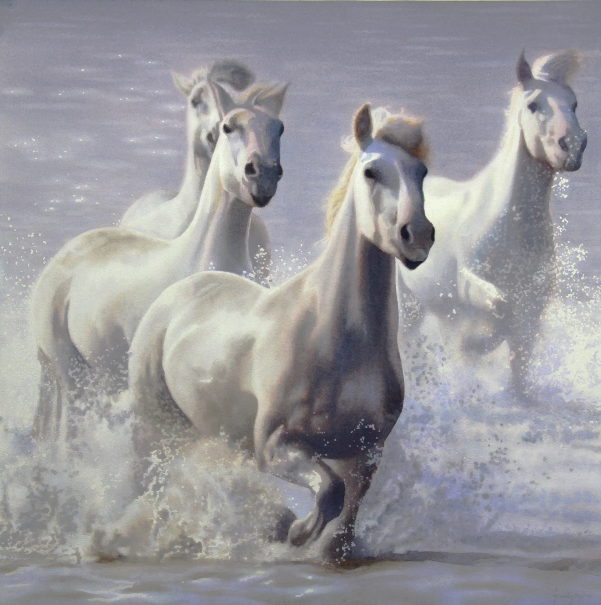 Freedom