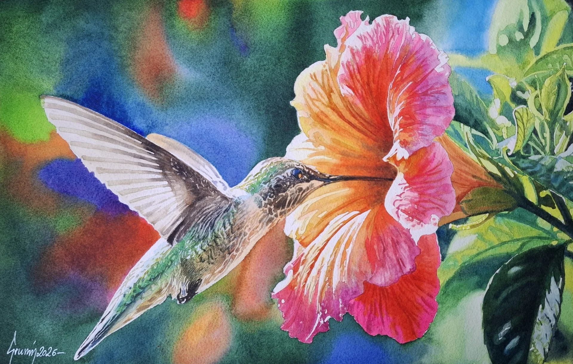 260805 1 Kolibri+Chinese Hibiscus