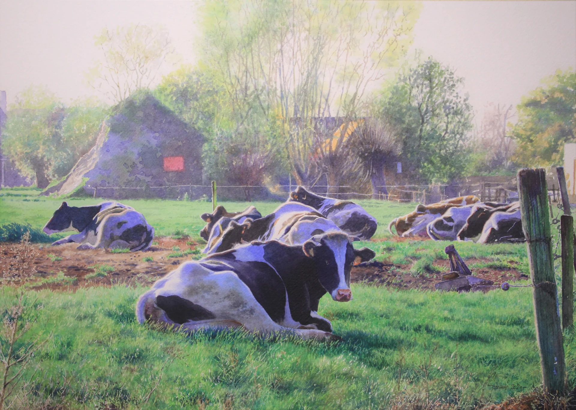 588 Koetjes aan de Kriephoek