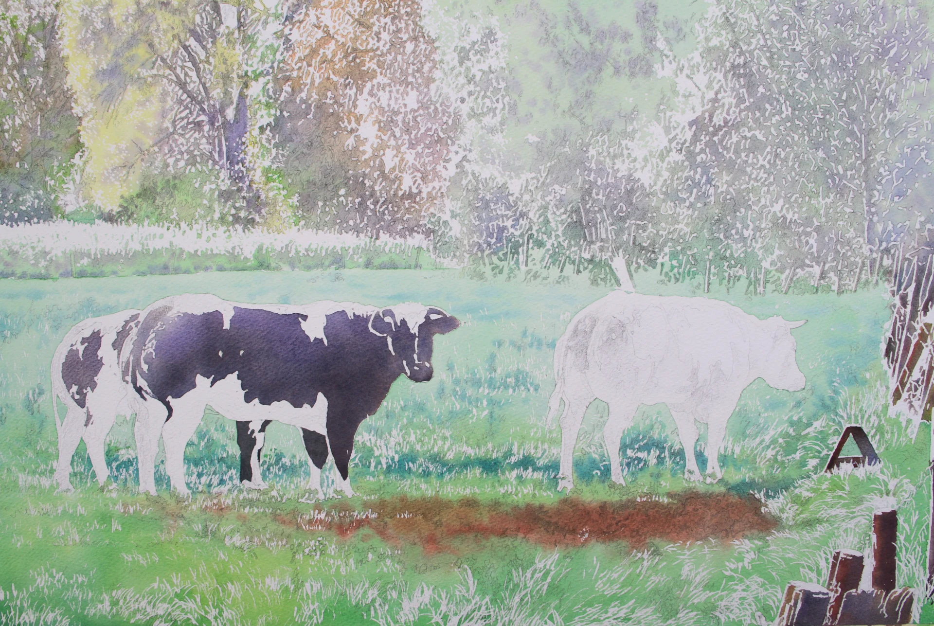 Full watercolour at an early stage