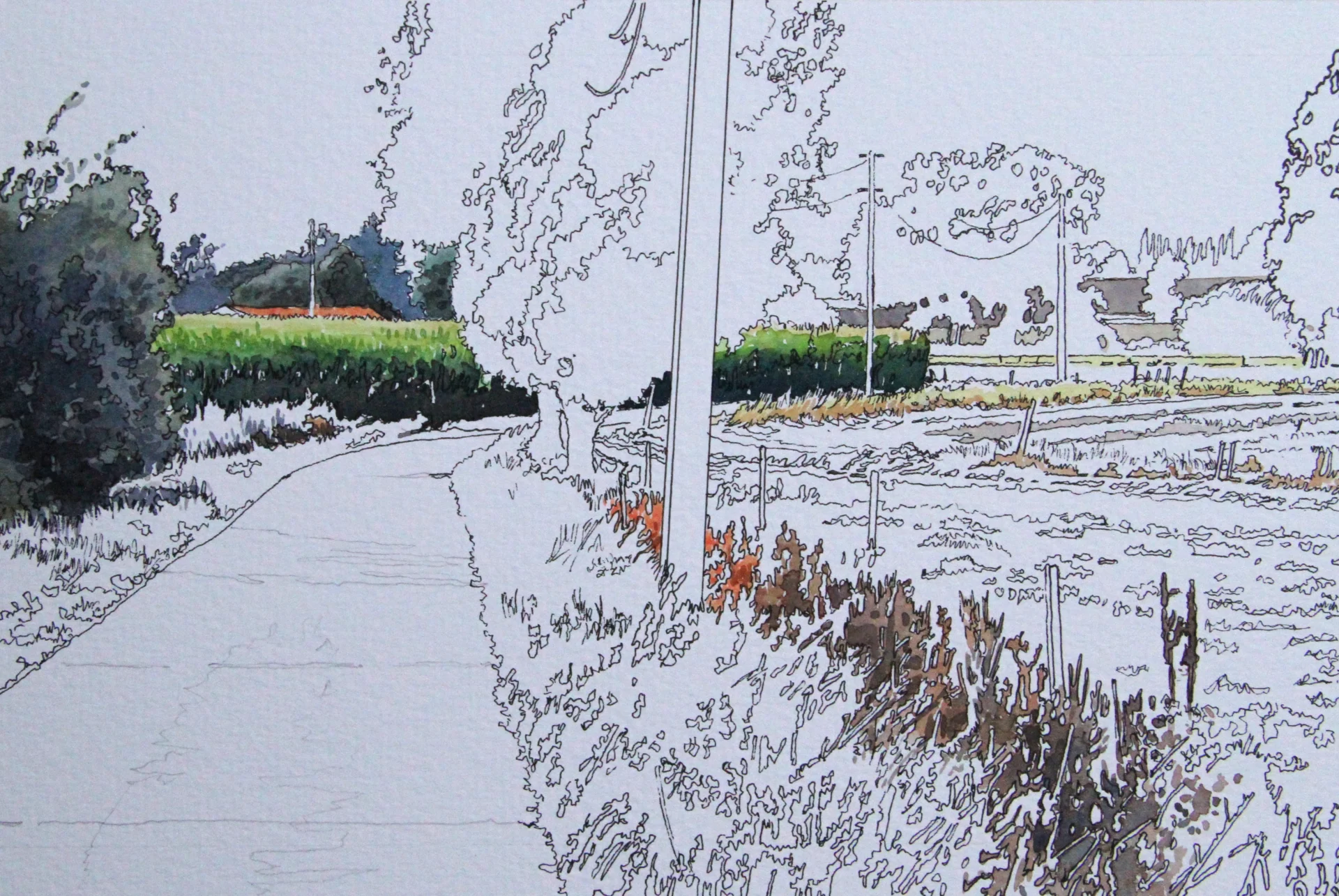 See how a Pen and Wash grows